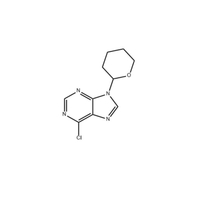 6-클로로-9-(테트라히드로-2-피라닐)-퓨린 (7306-68-5) C10H11ClN4O