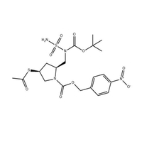 ACS-PNZ-PYRROLIDYL- (BOC) -NSO2NH2 (491878-06-9) C20H28N4O9S2