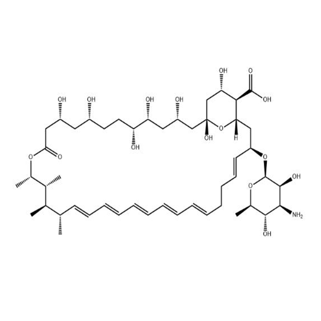 Amphotericin B (1397-89-3) C47H73NO17.